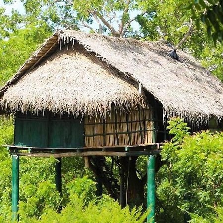Hotel Yala Beddegama Eco Kataragama Exteriér fotografie