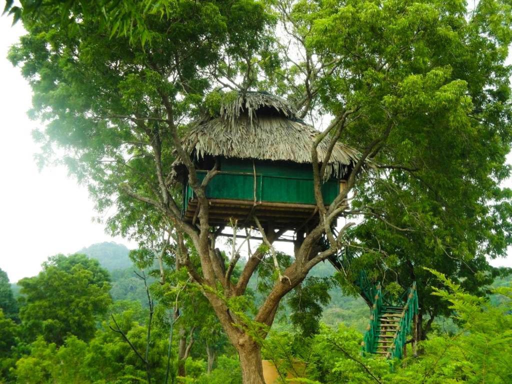 Hotel Yala Beddegama Eco Kataragama Exteriér fotografie
