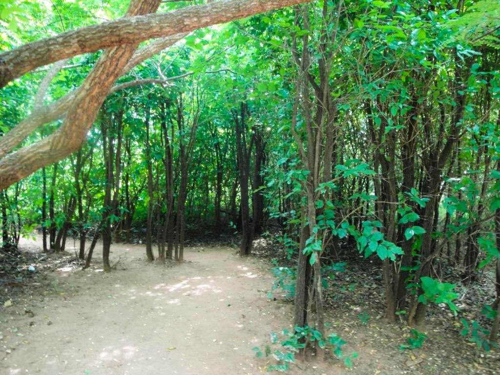 Hotel Yala Beddegama Eco Kataragama Exteriér fotografie