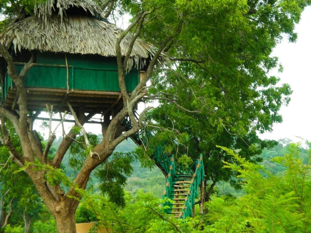 Hotel Yala Beddegama Eco Kataragama Exteriér fotografie