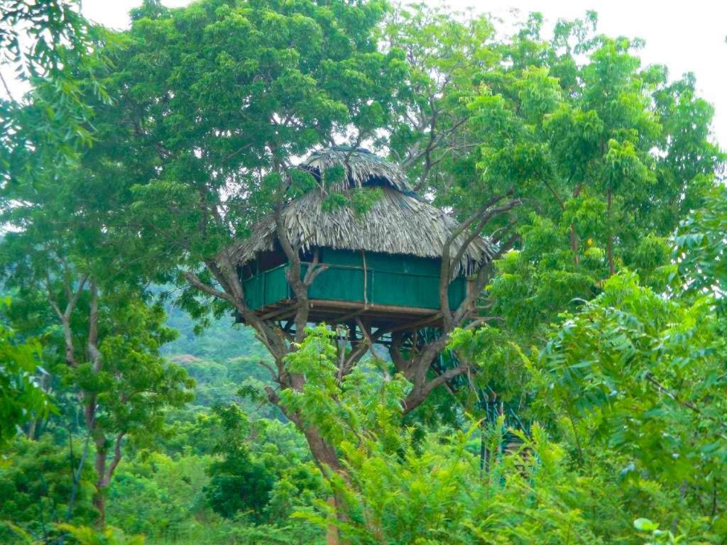 Hotel Yala Beddegama Eco Kataragama Exteriér fotografie