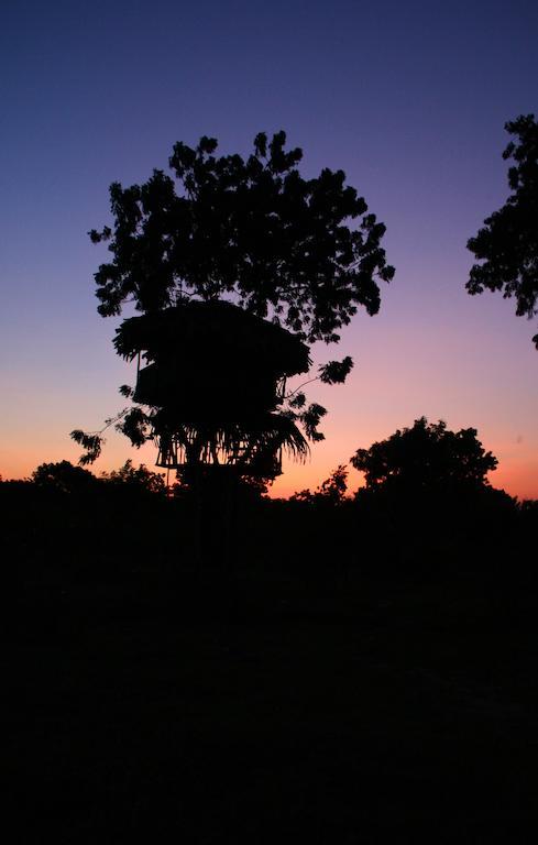 Hotel Yala Beddegama Eco Kataragama Exteriér fotografie