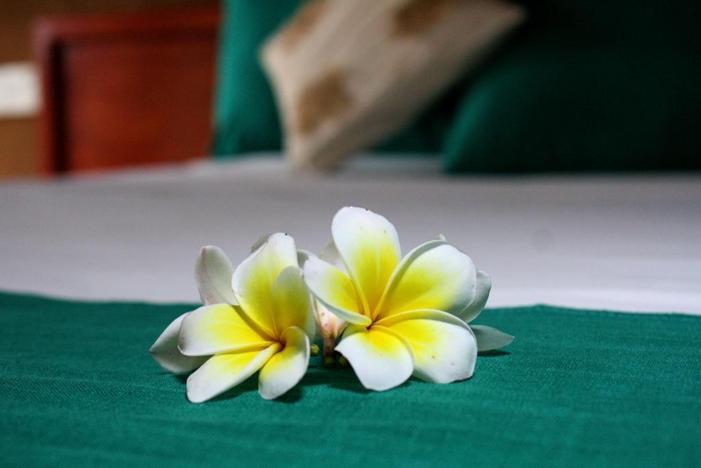 Hotel Yala Beddegama Eco Kataragama Pokoj fotografie