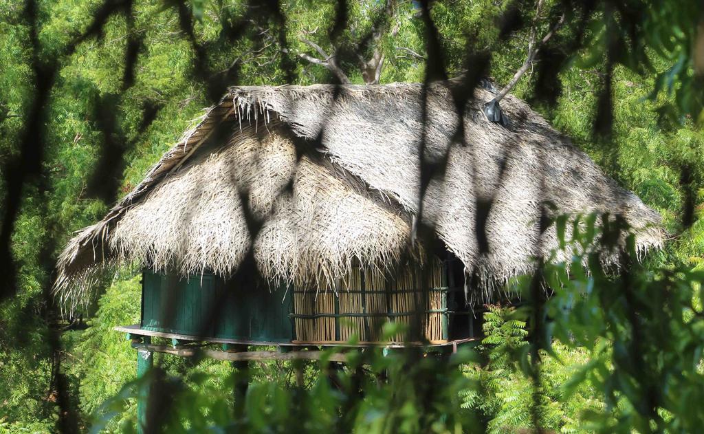 Hotel Yala Beddegama Eco Kataragama Exteriér fotografie