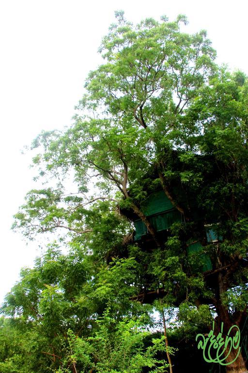 Hotel Yala Beddegama Eco Kataragama Exteriér fotografie