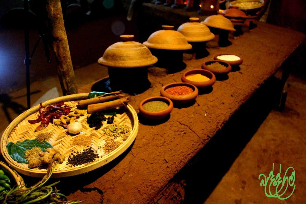 Hotel Yala Beddegama Eco Kataragama Exteriér fotografie
