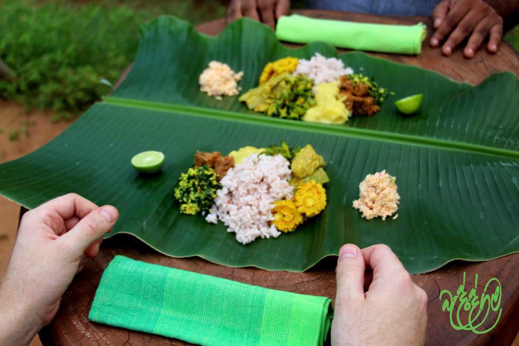 Hotel Yala Beddegama Eco Kataragama Exteriér fotografie