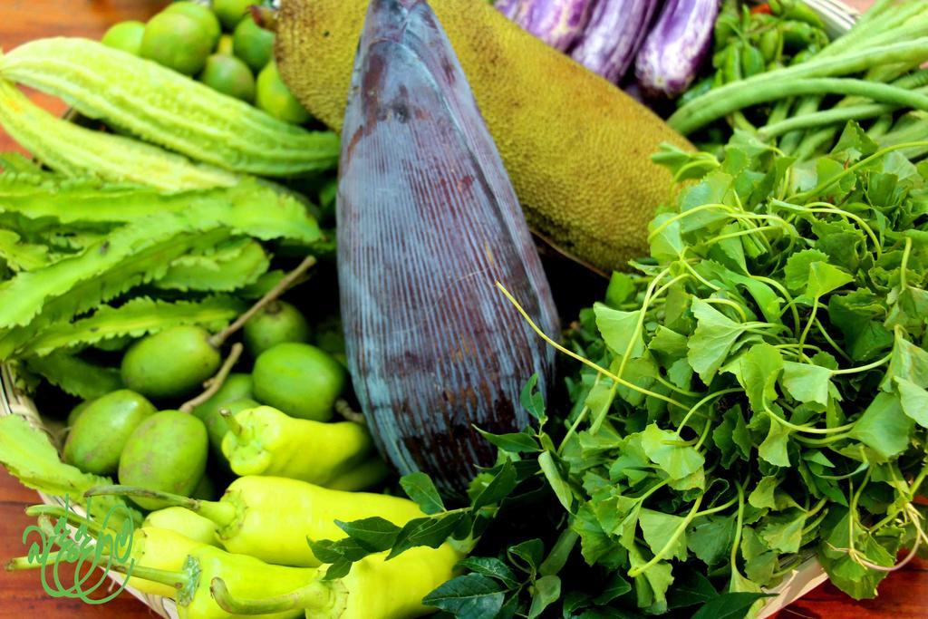 Hotel Yala Beddegama Eco Kataragama Exteriér fotografie